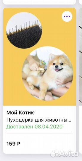 Когтерез, пуходерка, очки для котика