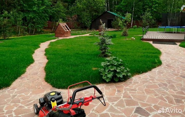 Рулонный газон с бесплатным замером