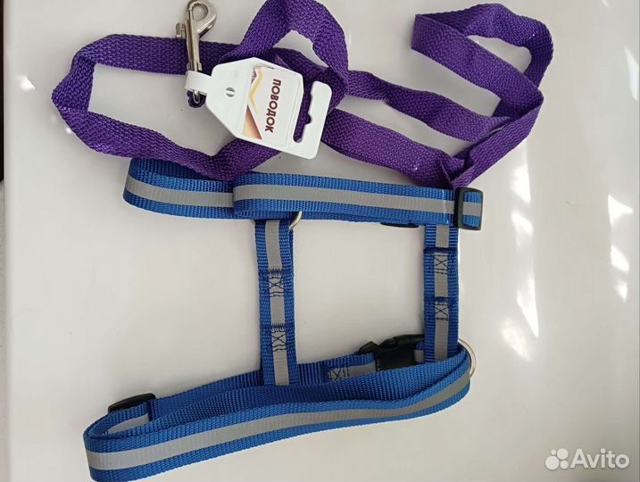 Шлейка и поводок для маленьких пород