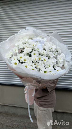 Букет гигант из ромашек/хризантем