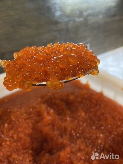 Красная икра горбуши Камчатка