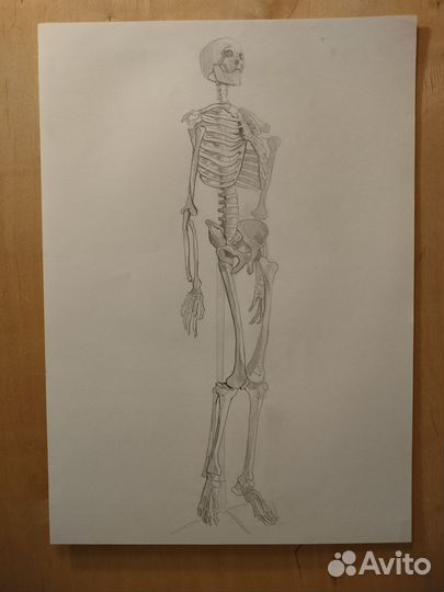 Академический рисунок на заказ