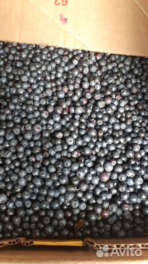 Черника свежая с бесплатной доставкой