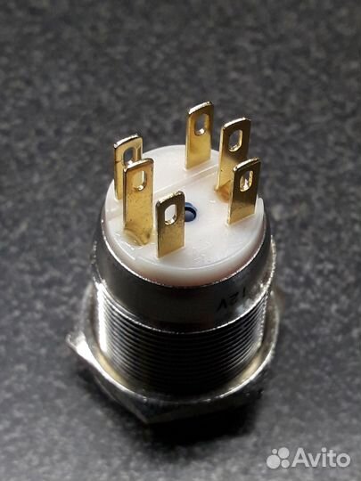 Кнопка без фиксации. Синяя подсветка. Посадка Д19м