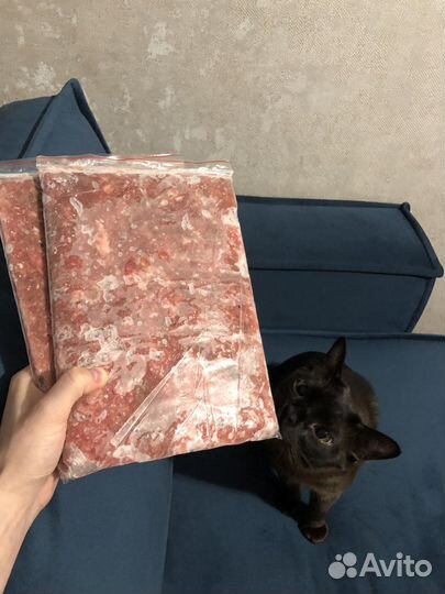 Натуральное питание для кошек