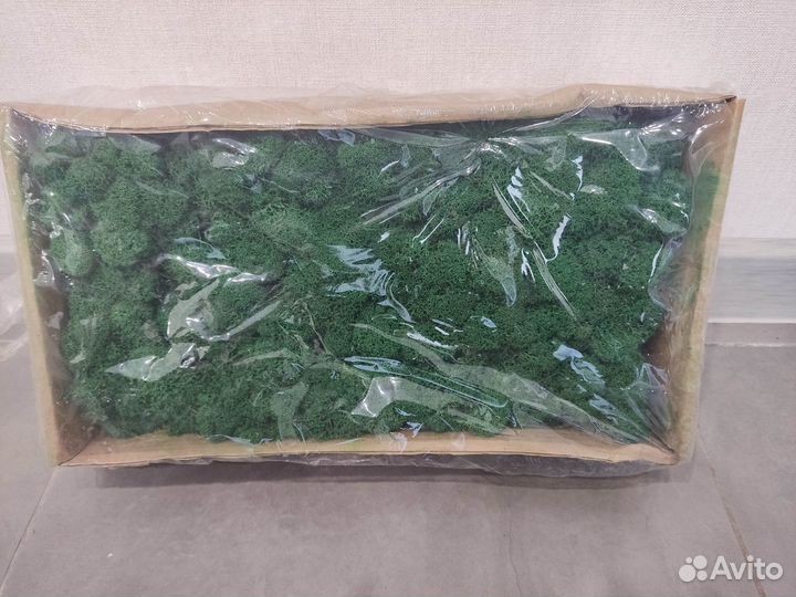 Сбор Заявок на мох стабилизированный до 20.09.23