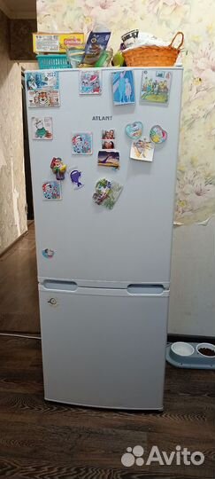 Холодильник Alant