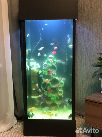 Аквариум с оборудованием и рыбками