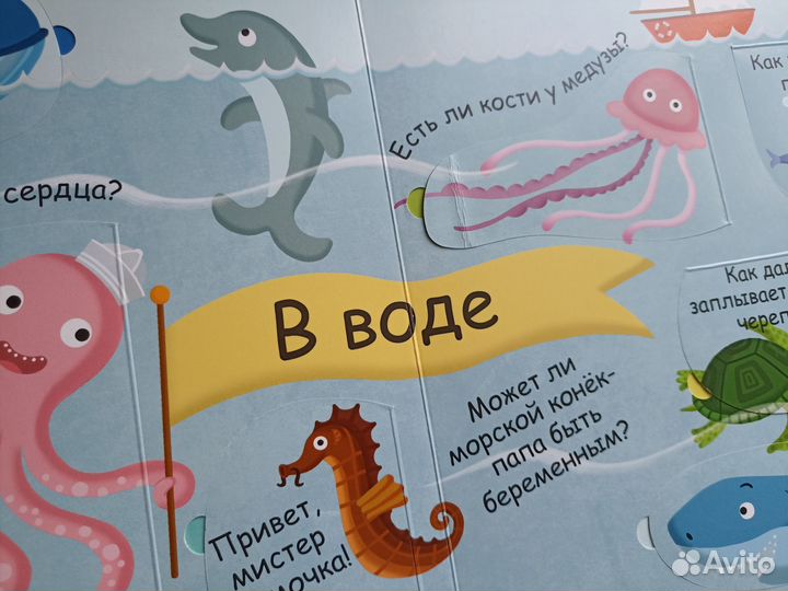 Энциклопедия детская с окошками.Мое тело.Животные