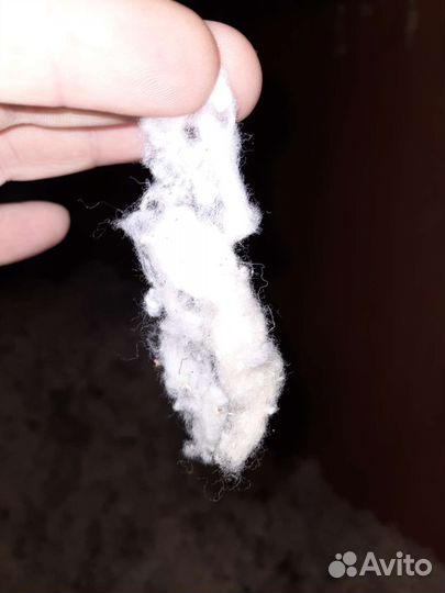 Вата 100процентный хлопок