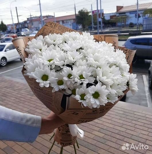 Хризантема Букеты с доставкой