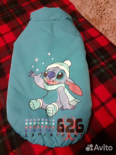 Одежда для собак