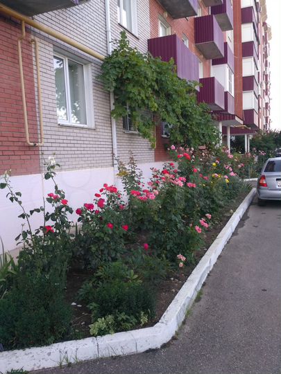 3-к. квартира, 64 м², 4/5 эт.