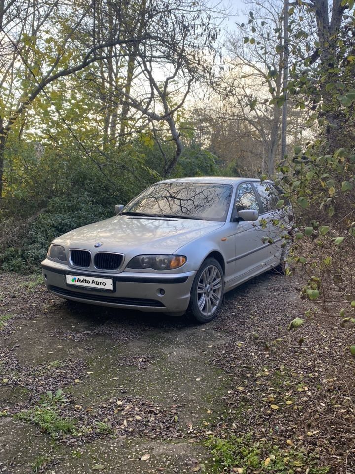 BMW 3 серия: фото владельца