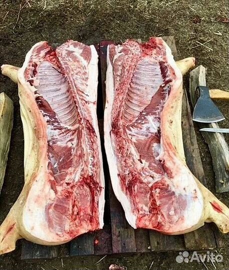 Мясо свинина домашняя