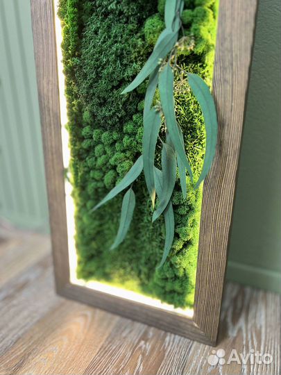 Панели из стабилизированного мха и растений