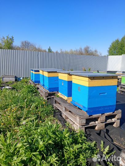 Улей для пчел