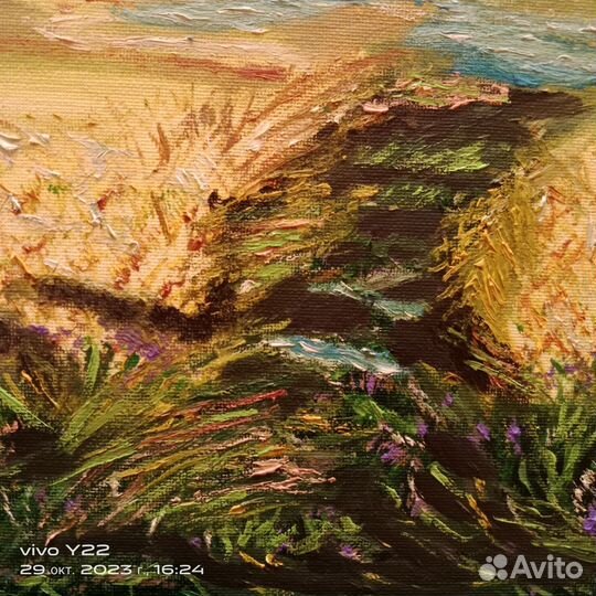 Картины на заказ степь