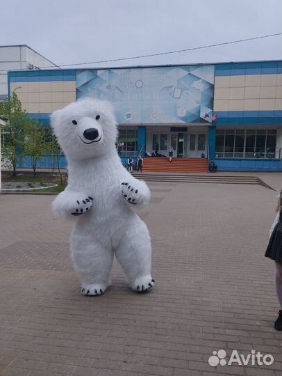 Белый мишка поздравление ростовой медведь аниматор