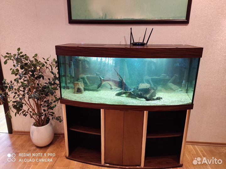 Обслуживание аквариума