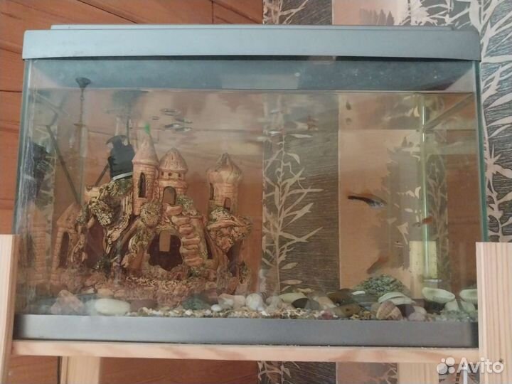 Аквариум