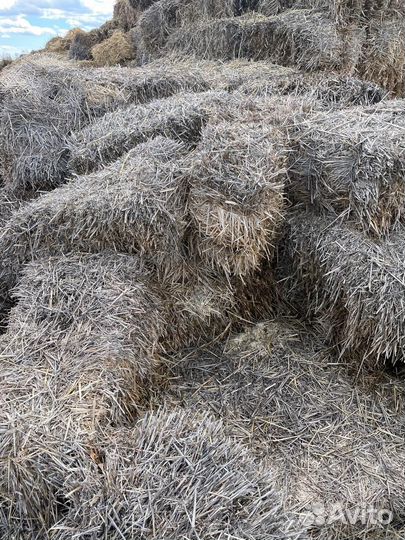 Сено, Солома