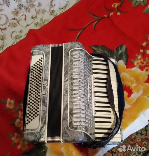Аккордеон. Красный партизан