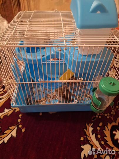 Джунгарики