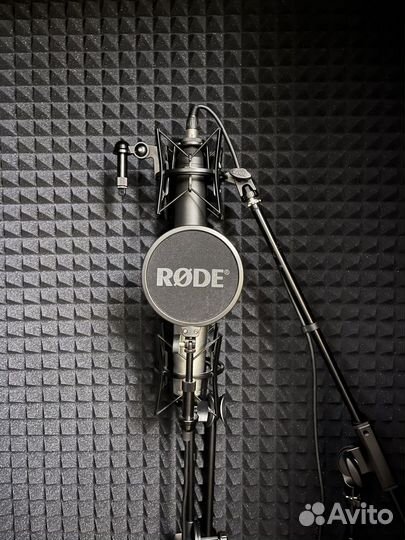 Микрофон Rode NT1000
