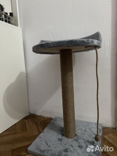 Когтеточка