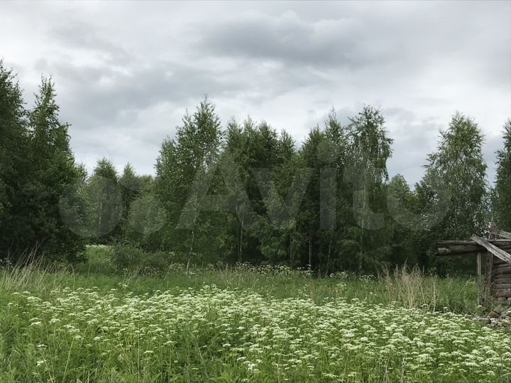 Участок 25 сот. (ИЖС)