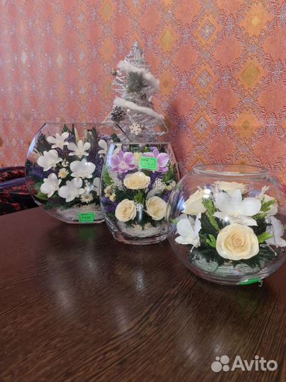 Живые цветы в стекле (вакууме)