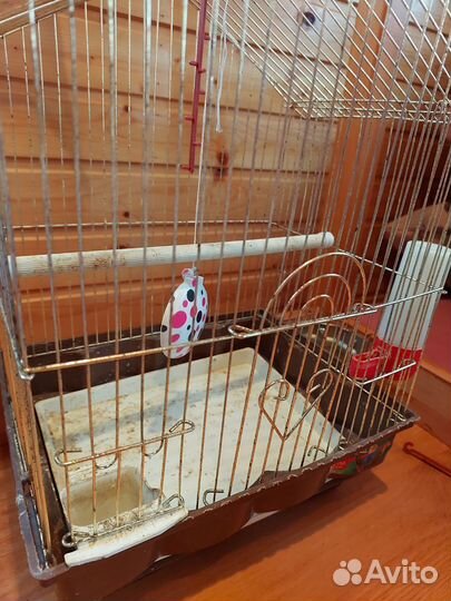 Клетка для попугая