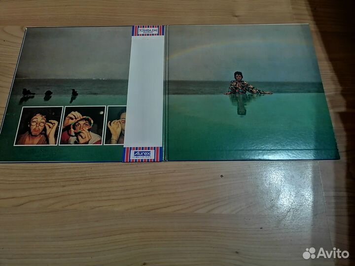 Paul McCartney, McCartney ll