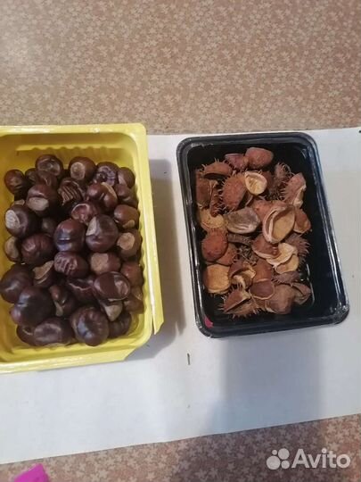 Сухоцветы, каштаны для творчества