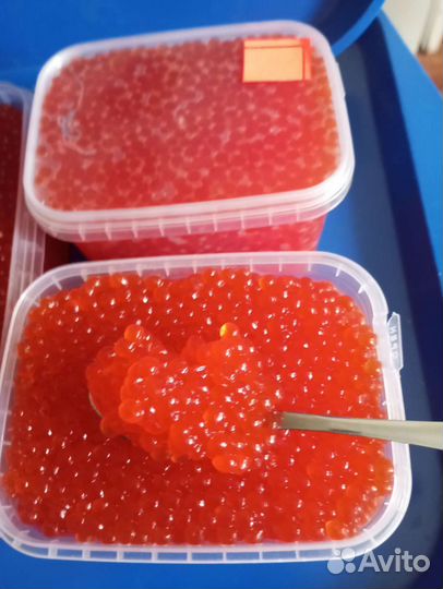Икра Красная Кеты и Чавычи за 1 кг - 2500 (1 сорт)