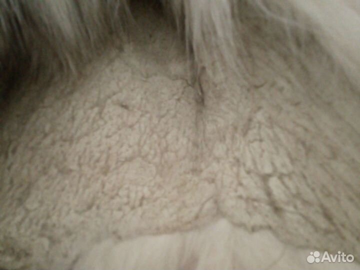 Готовый воротник, новый