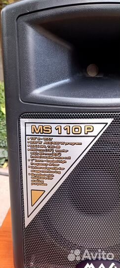Акустическая система пассивная MAG MS 110 P