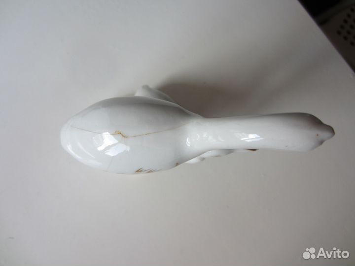 Цапли Хайта