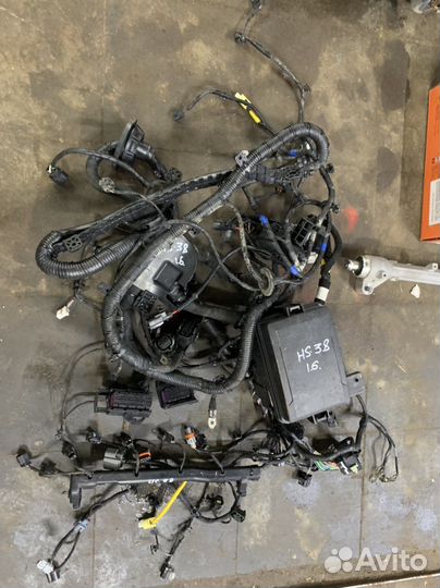 Проводка подкапотная hyundai solaris 2 1.6 АКПП