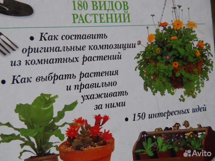 Новейшая энциклопедия комнатных растений