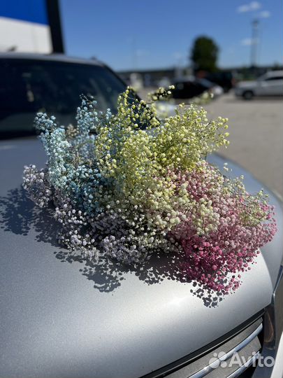 Цветы букеты доставка Гипсофила