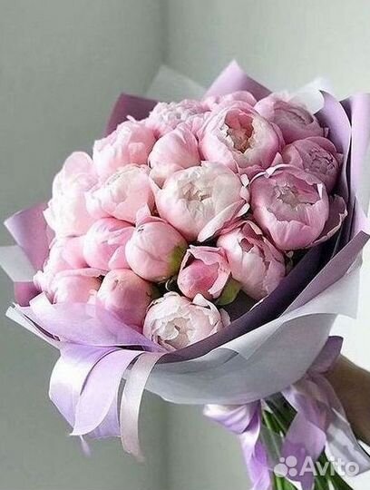 Пионы Букет пионов