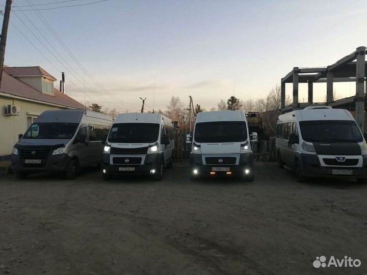 Услуги, заказ, автобус, трансфер, микроавтобус