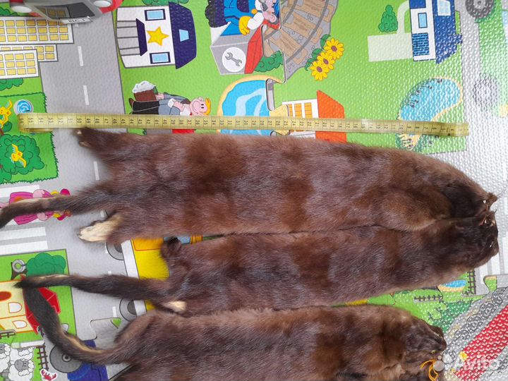 Шкурка шкура норки