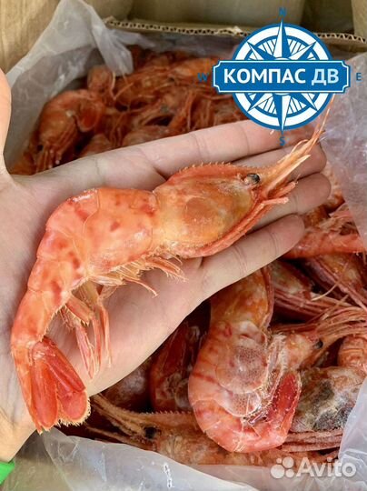 Морепродукты в наличии сочные креветки