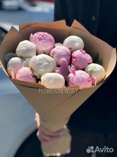 Пионы Букет пионов 25 11 19 9
