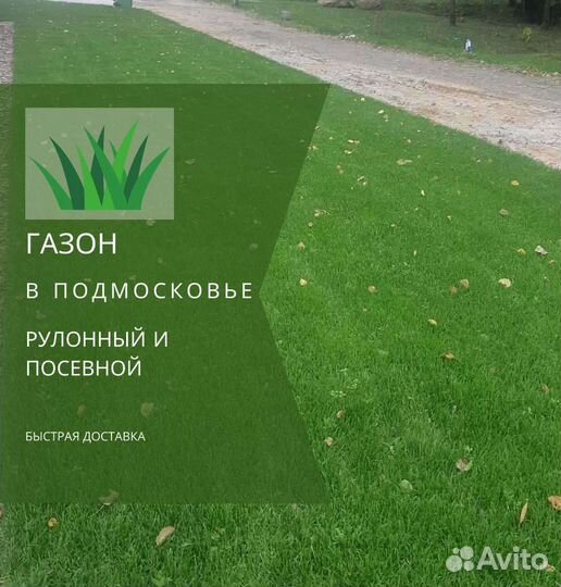 Рулонный газон