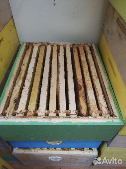 Рамка сушь для пчел