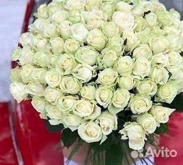 Высокие розы Гигантские Розы 150 160 170 180 190см